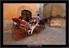 sightseeing  © 2025 René Göke